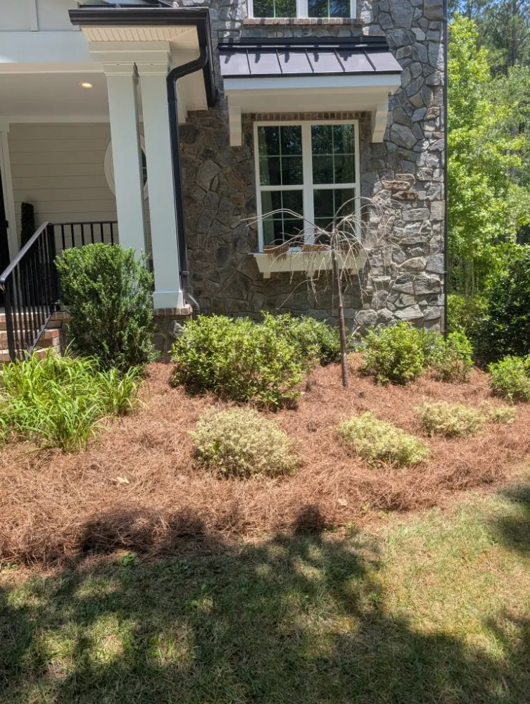 Local landscape design in Fort Mill, SC by Fite Lawn Care