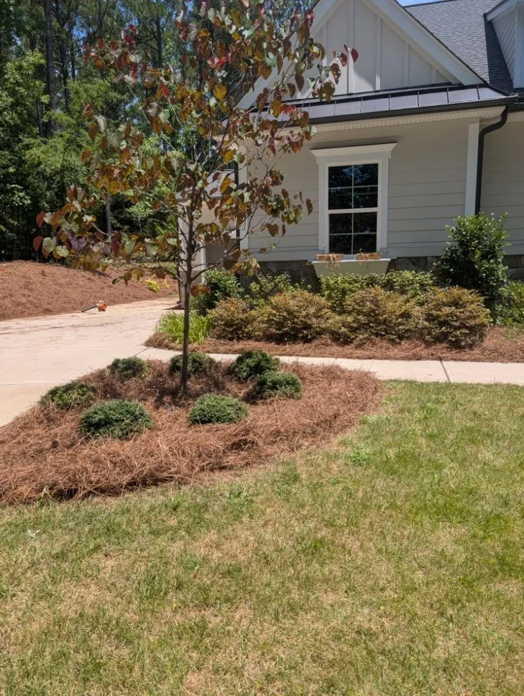 Local lawn care service with custom design in Fort Mill, SC by Fite Lawn Care