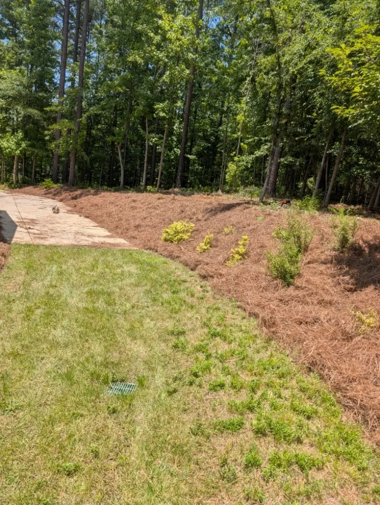 Top-rated residential landscaping for beautiful yards in Fort Mill, SC by Fite Lawn Care