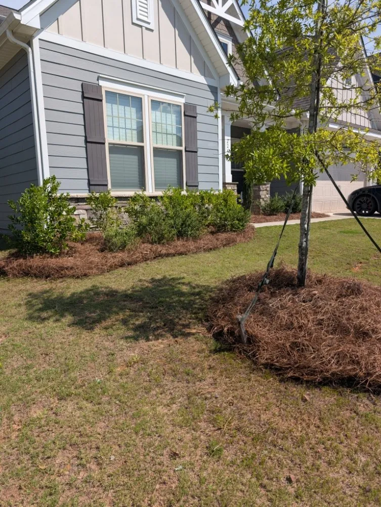 Reliable yard maintenance experts serving Fort Mill, SC - Fite Lawn Care
