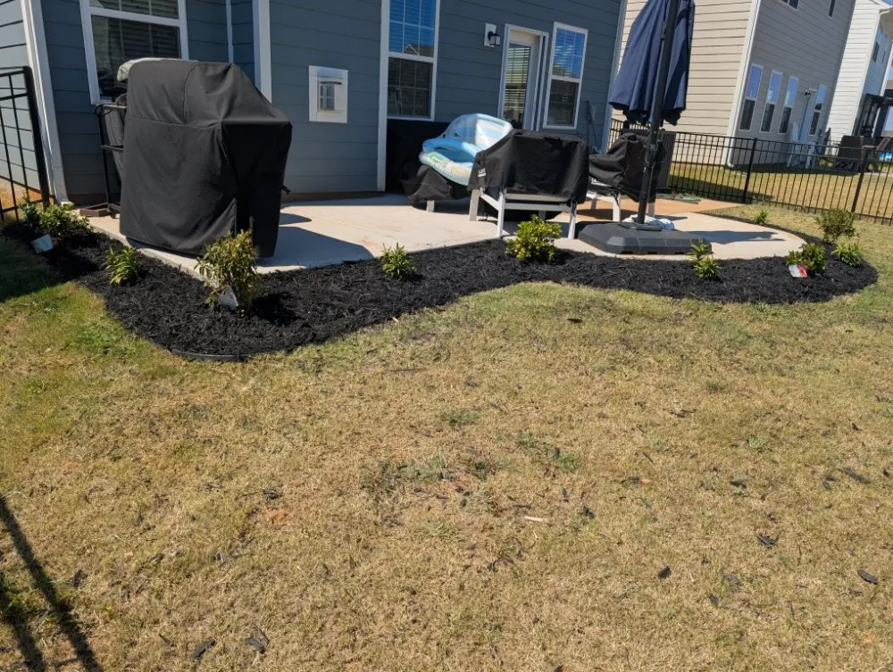 Affordable yard cleanup service near you in Fort Mill, SC by Fite Lawn Care
