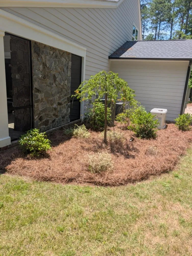 Expert yard maintenance in Fort Mill, SC by Fite Lawn Care