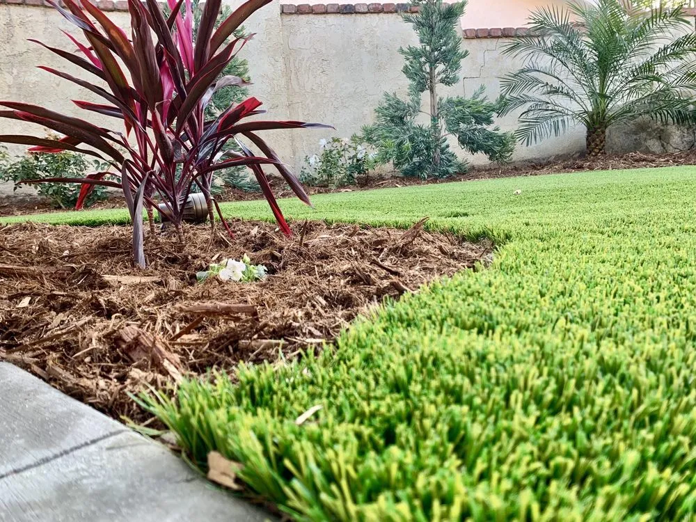 Custom yard cleanup service for year-round maintenance across Upland, CA - Fittante & Son Inc.