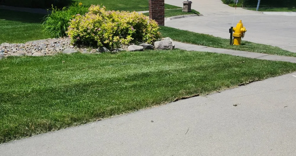 Reliable lawn care service experts serving Urbandale, IA - Fitz Lawn Care