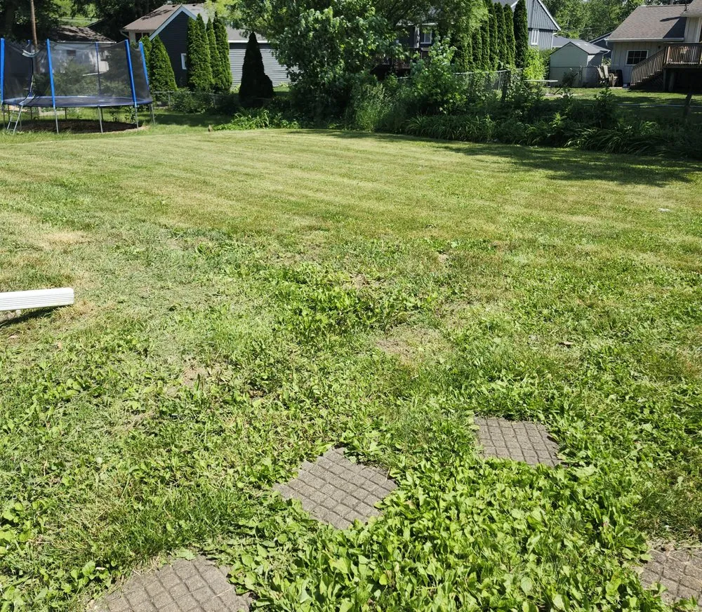 Local yard cleanup service for outdoor upgrades in Urbandale, IA by Fitz Lawn Care