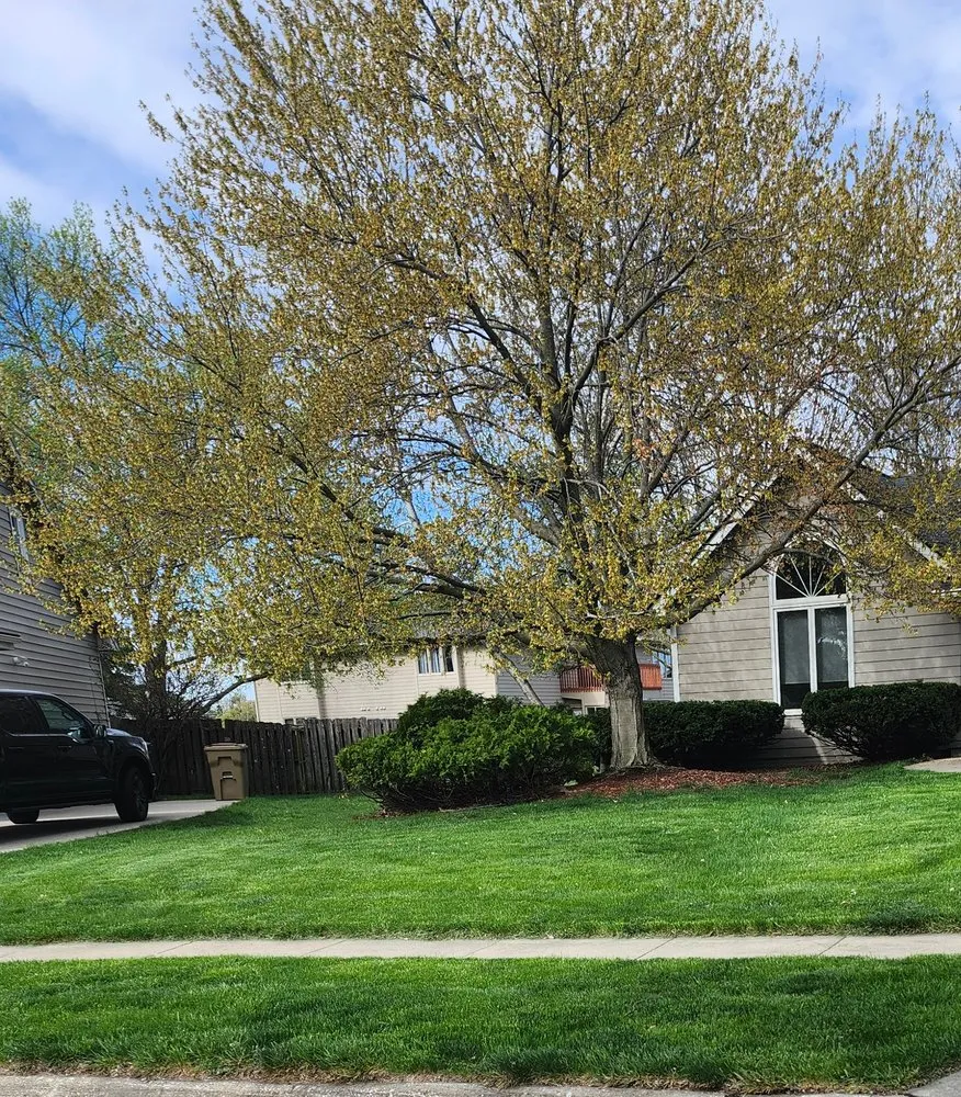 Local landscape installation in Urbandale, IA - Fitz Lawn Care