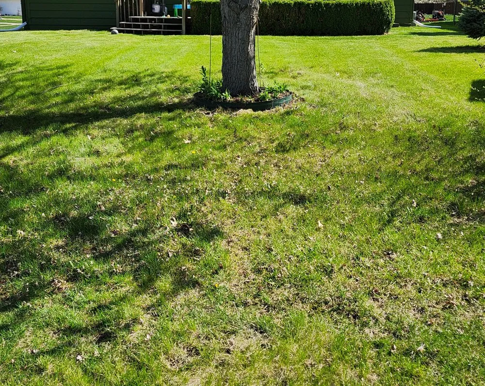 Trusted lawn mowing service experts serving Urbandale, IA - Fitz Lawn Care