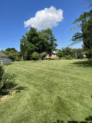 Fitzgerald Lawn Service Logo