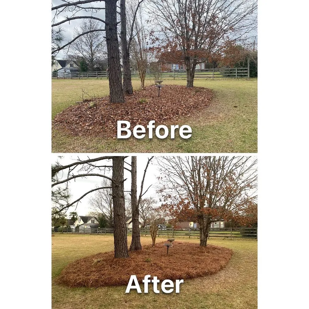 Trusted lawn care service in Fitzgerald, GA by Fitzgerald Lawn Solutions