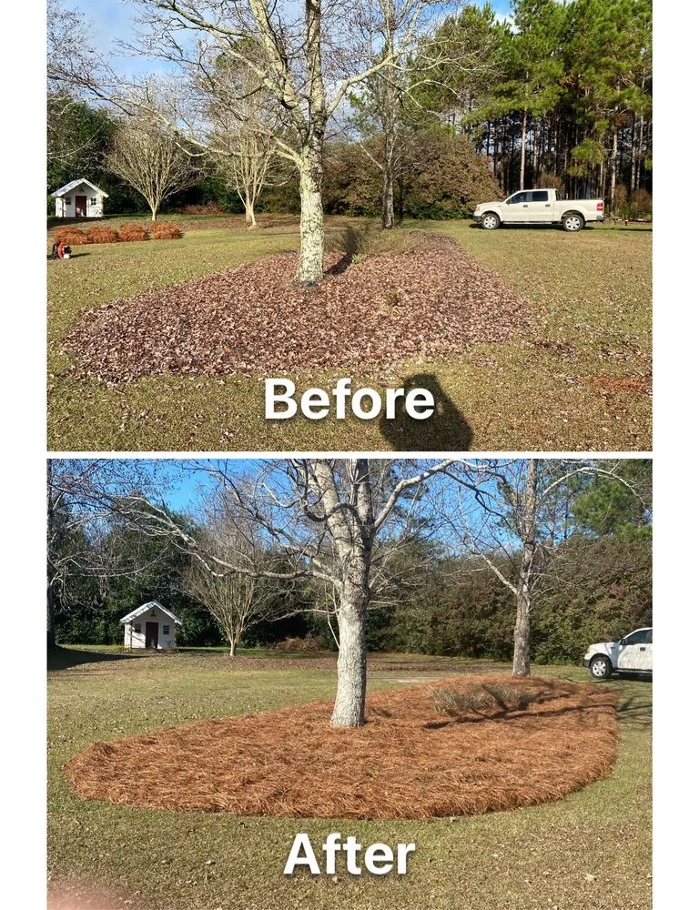 Affordable yard cleanup service for beautiful yards across Fitzgerald, GA - Fitzgerald Lawn Solutions