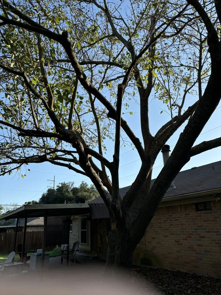 Top-rated landscaping services in Woodway, TX by Fitzgerald's