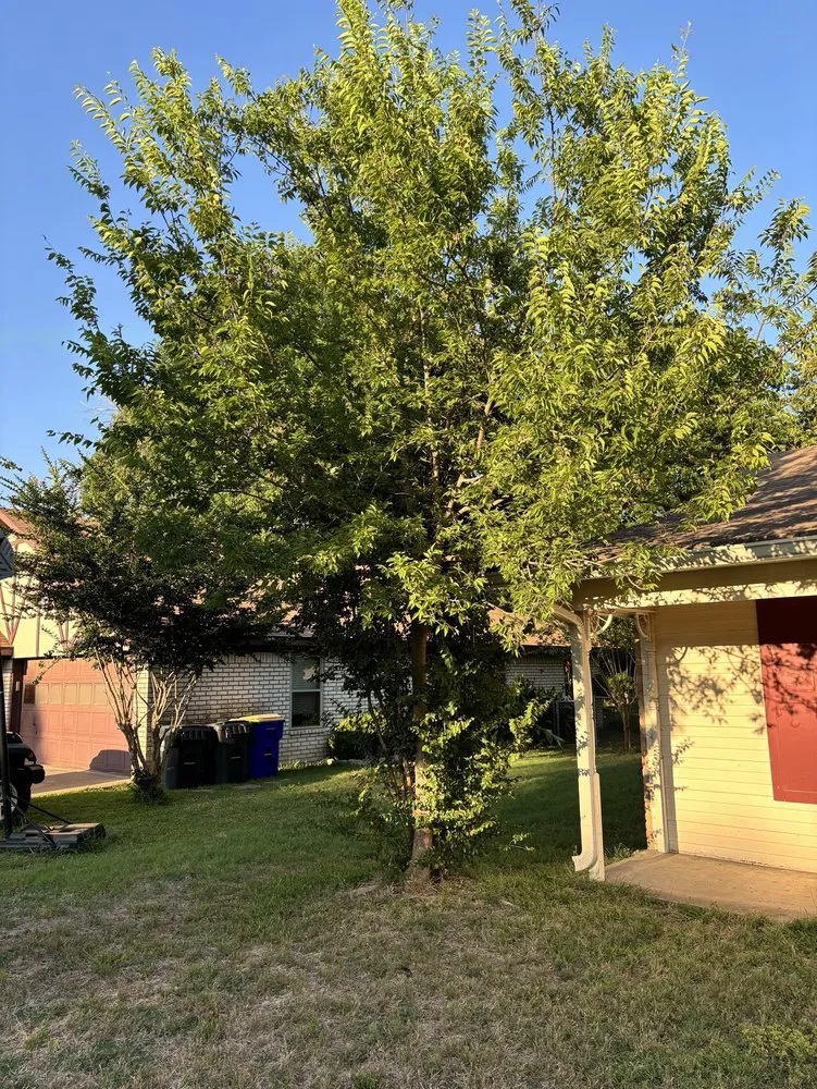 Professional landscape design for residential properties in Woodway, TX by Fitzgerald's