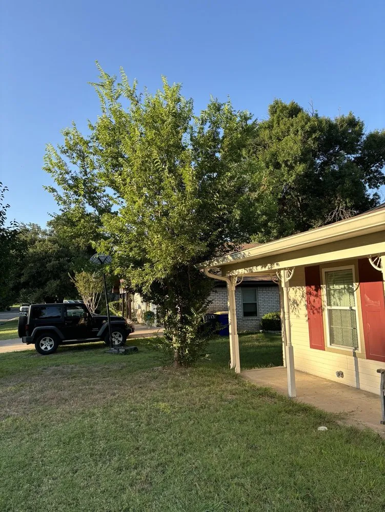 Professional lawn mowing service experts serving Woodway, TX - Fitzgerald's