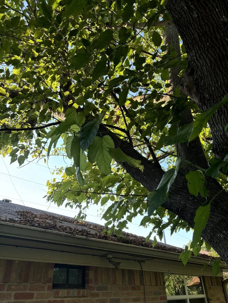 Reliable lawn care service experts serving Woodway, TX - Fitzgerald's