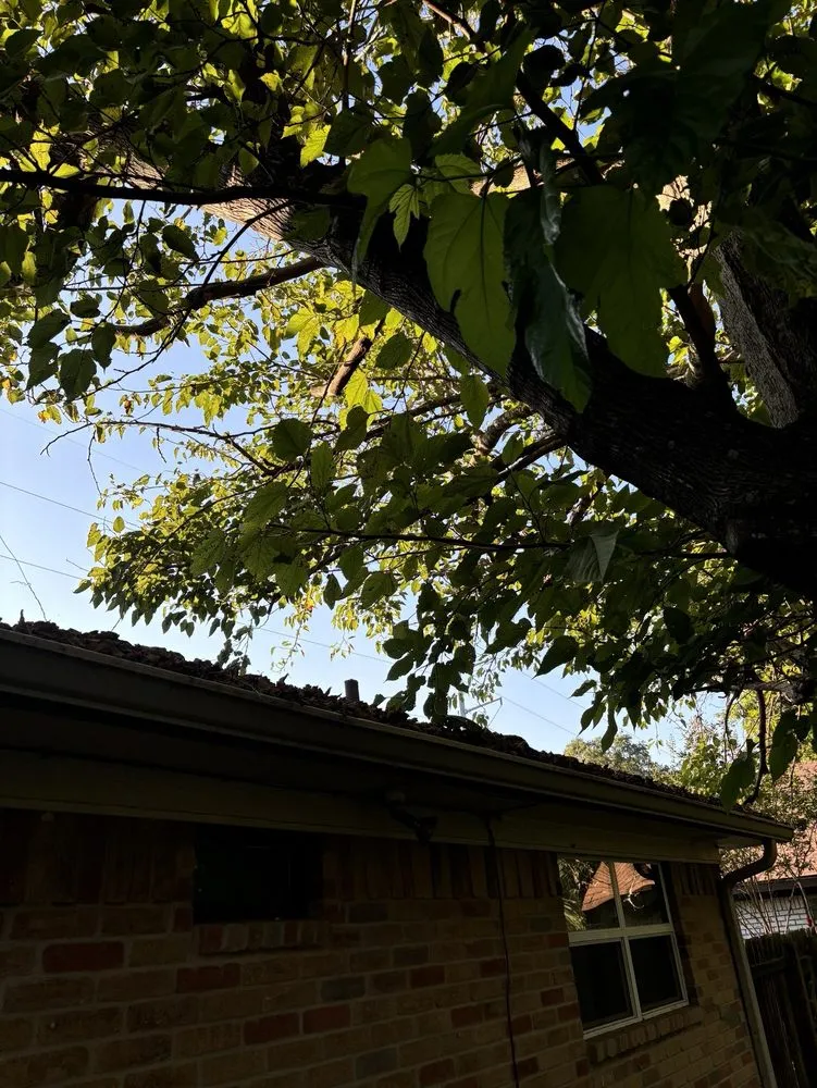 Local yard cleanup service experts serving Woodway, TX - Fitzgerald's