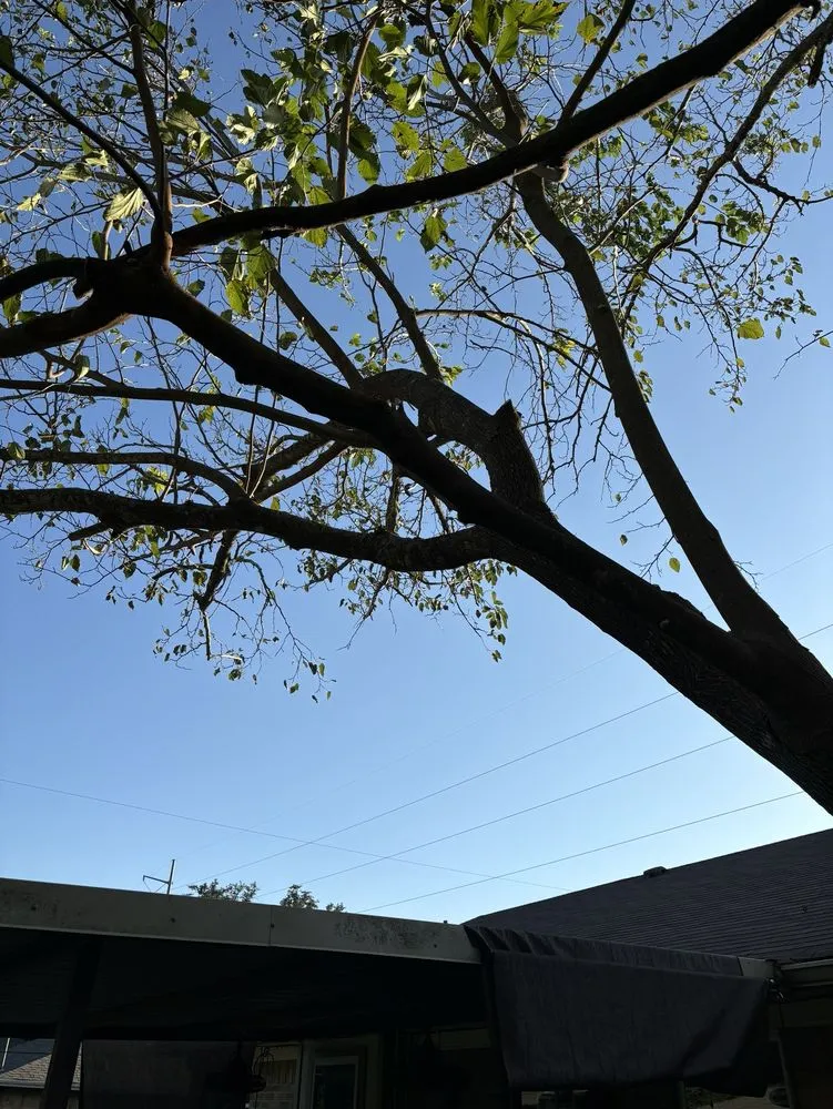 Trusted landscaping services in Woodway, TX - Fitzgerald's