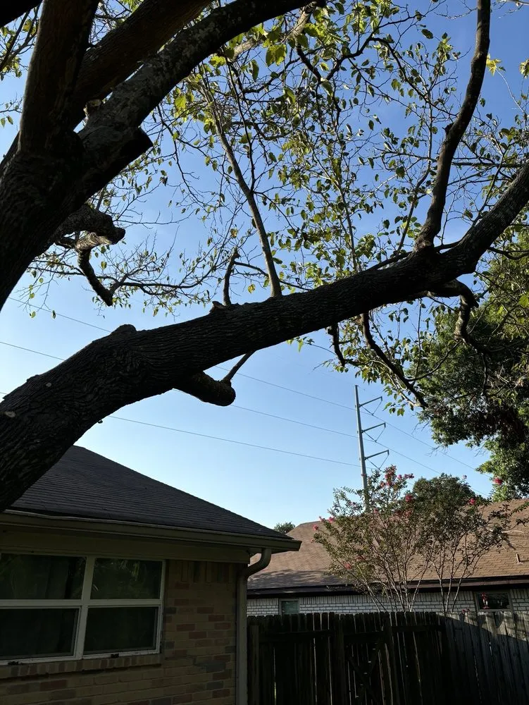 Trusted yard cleanup service in Woodway, TX - Fitzgerald's