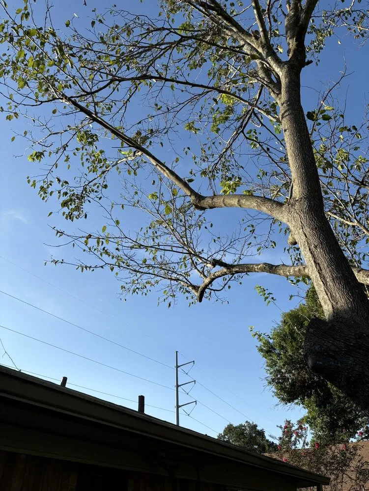 Reliable lawn mowing service for homes across Woodway, TX - Fitzgerald's