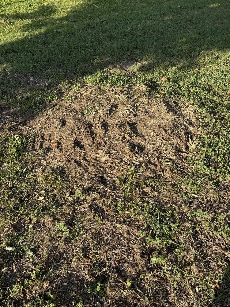 Expert outdoor landscaping in Woodway, TX by Fitzgerald's