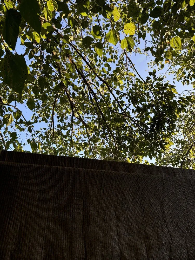 Affordable landscape installation for residential properties in Woodway, TX by Fitzgerald's