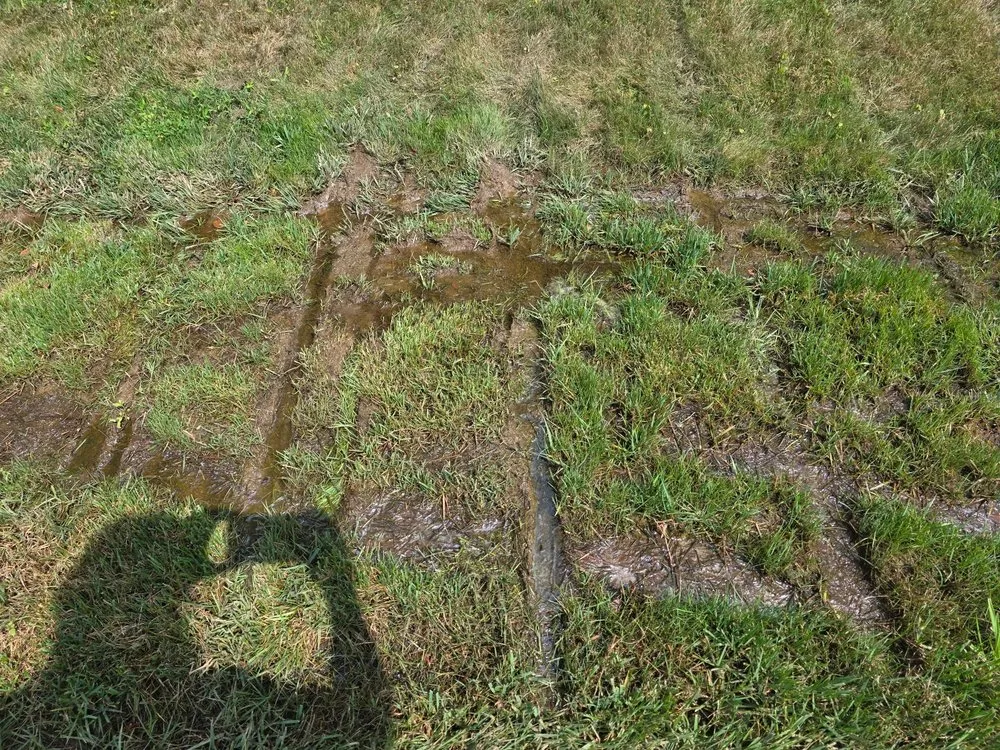 Trusted landscape design for beautiful yards across Abington, PA - Fitzkee Land Services