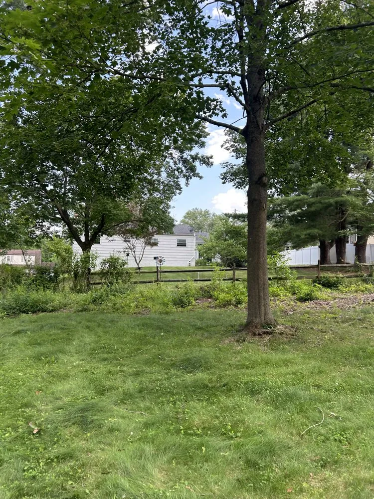 Top-rated landscape design in Abington, PA - Fitzkee Land Services