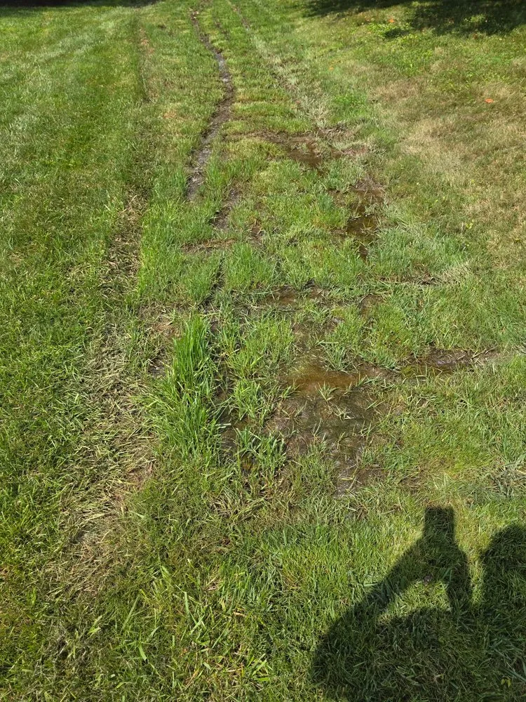 Trusted lawn care service in Abington, PA - Fitzkee Land Services