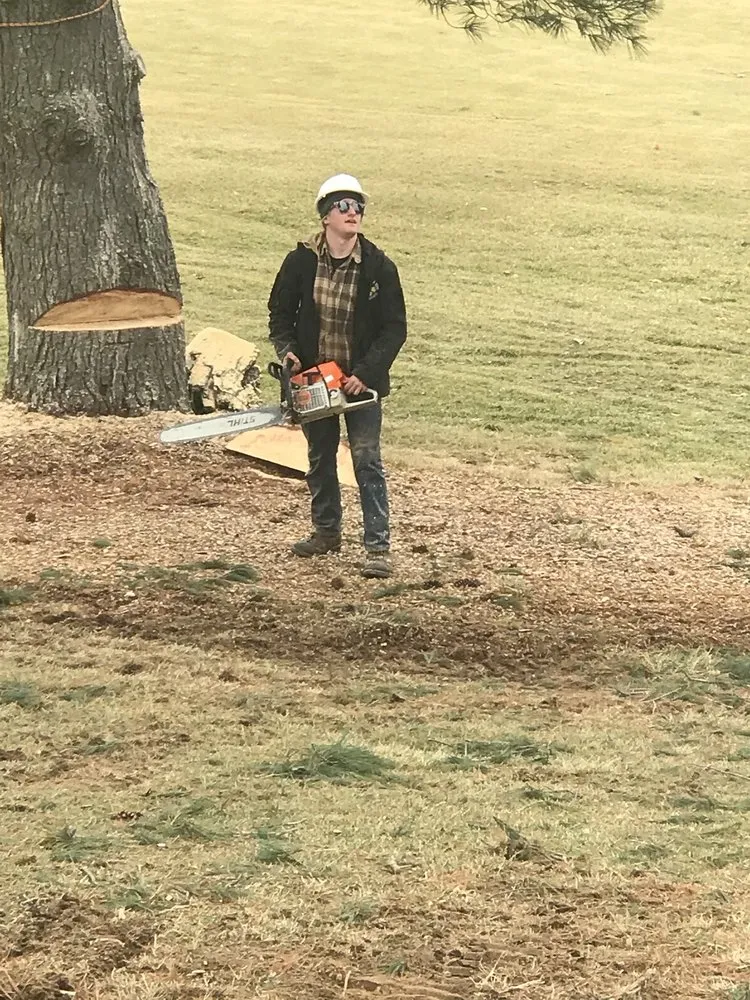 Professional landscape installation in Bel Air, MD - Fitzpatrick & Sons