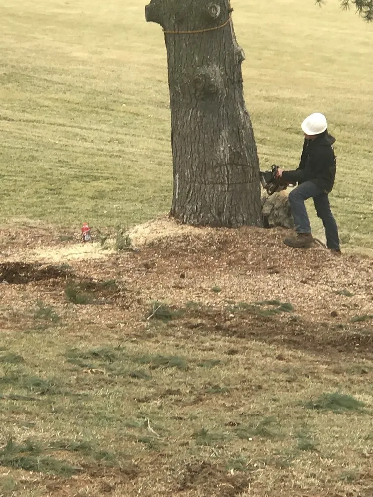 Local lawn mowing service in Bel Air, MD - Fitzpatrick & Sons