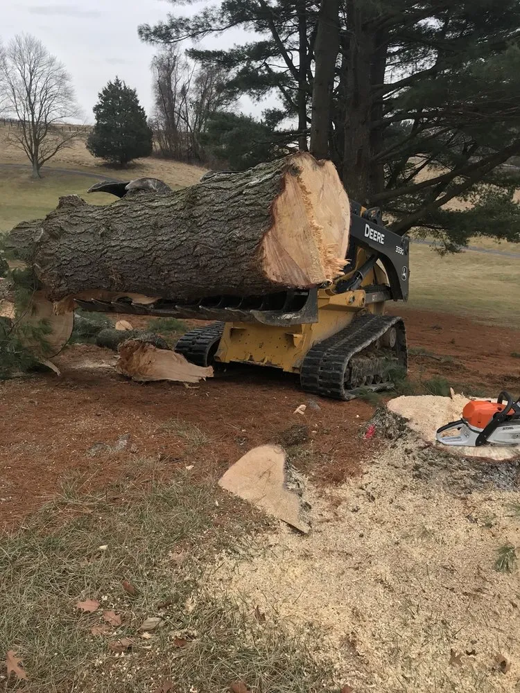 Top-rated residential landscaping in Bel Air, MD by Fitzpatrick & Sons