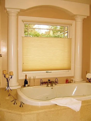 Professional yard cleanup service experts serving Bel Air, MD - Fitzpatrick & Sons