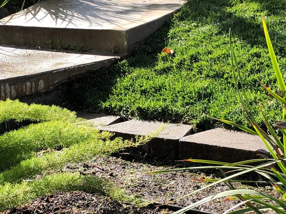 Local yard maintenance experts serving Concord, CA - Fitzpatrick Landscaping and Fencing