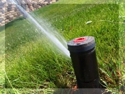 Trusted lawn care service for year-round maintenance across Concord, CA - Fitzpatrick Landscaping and Fencing