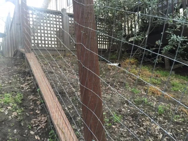 Top-rated landscape design for year-round maintenance across Concord, CA - Fitzpatrick Landscaping and Fencing