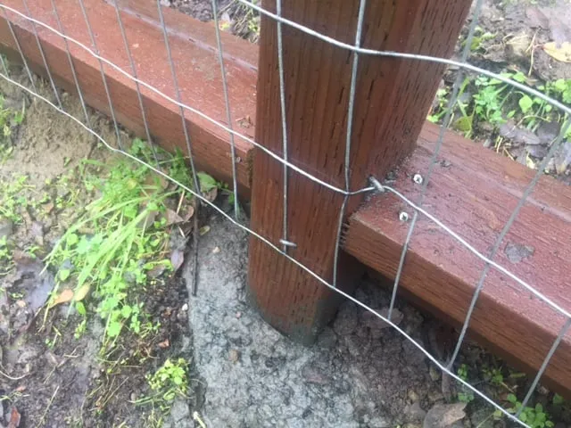 Top-rated lawn care service for outdoor upgrades in Concord, CA by Fitzpatrick Landscaping and Fencing