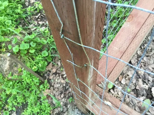 Local yard cleanup service for outdoor upgrades across Concord, CA - Fitzpatrick Landscaping and Fencing