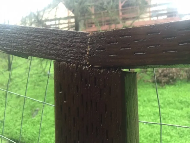 Expert lawn mowing service in Concord, CA - Fitzpatrick Landscaping and Fencing