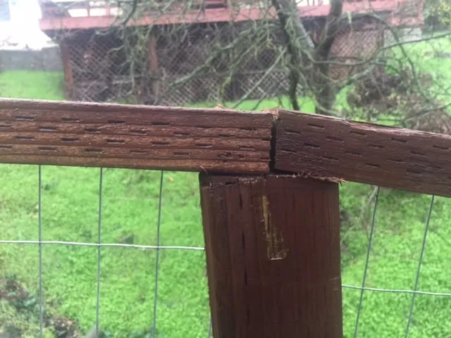 Custom lawn care service in Concord, CA - Fitzpatrick Landscaping and Fencing