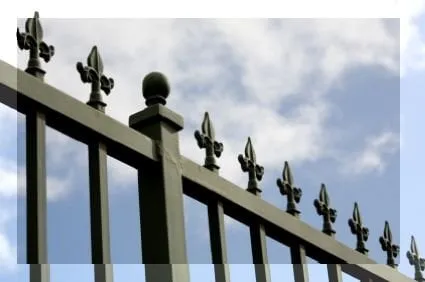 Custom lawn care service near you in Concord, CA by Fitzpatrick Landscaping and Fencing