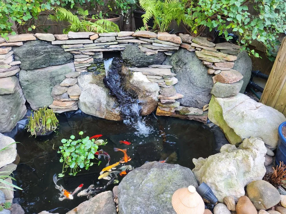 Reliable landscape design in Green Brook, NJ - Fitz's Fish Ponds