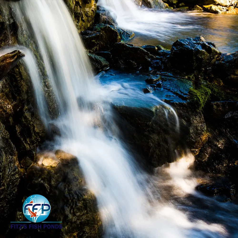 Top-rated garden landscaping experts serving Green Brook, NJ - Fitz's Fish Ponds