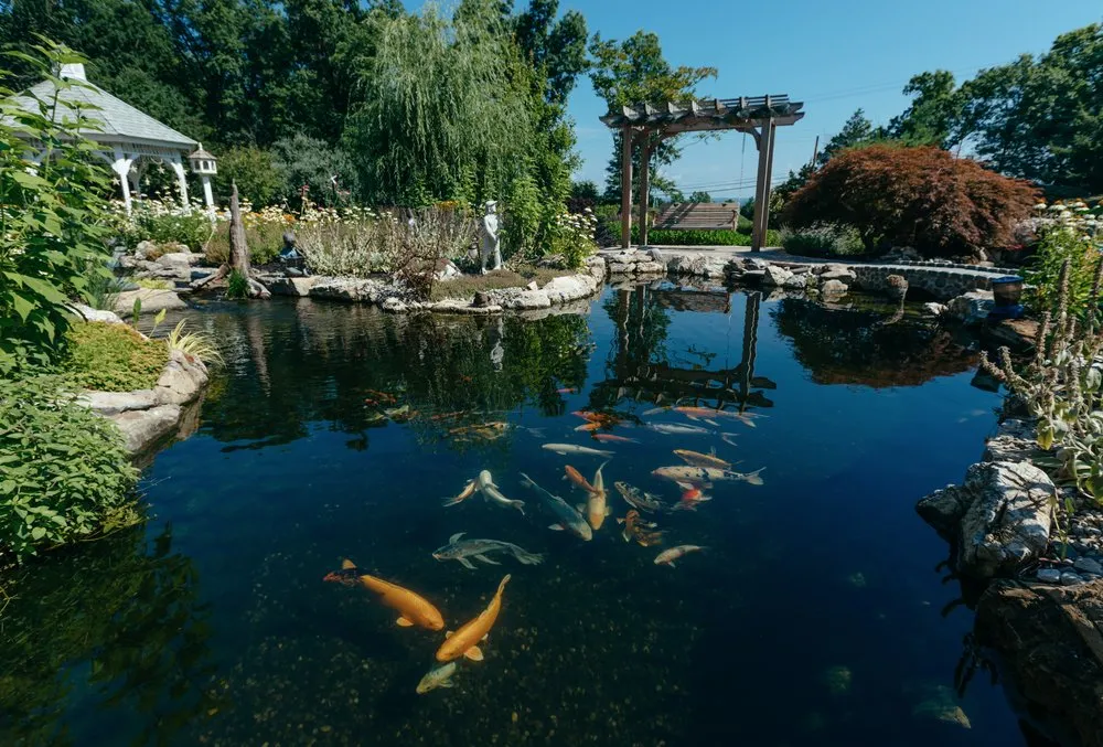 Reliable lawn care service in Green Brook, NJ by Fitz's Fish Ponds