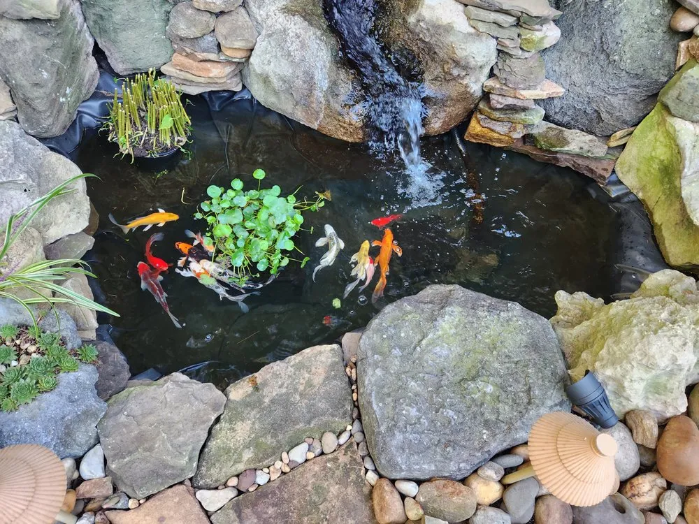 Professional landscape installation in Green Brook, NJ by Fitz's Fish Ponds