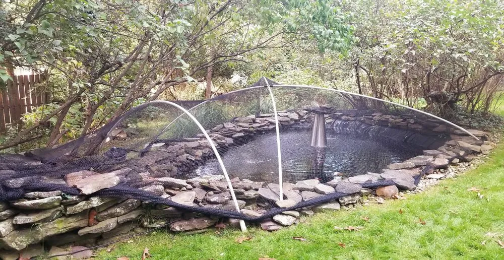 Professional lawn care service for beautiful yards across Green Brook, NJ - Fitz's Fish Ponds