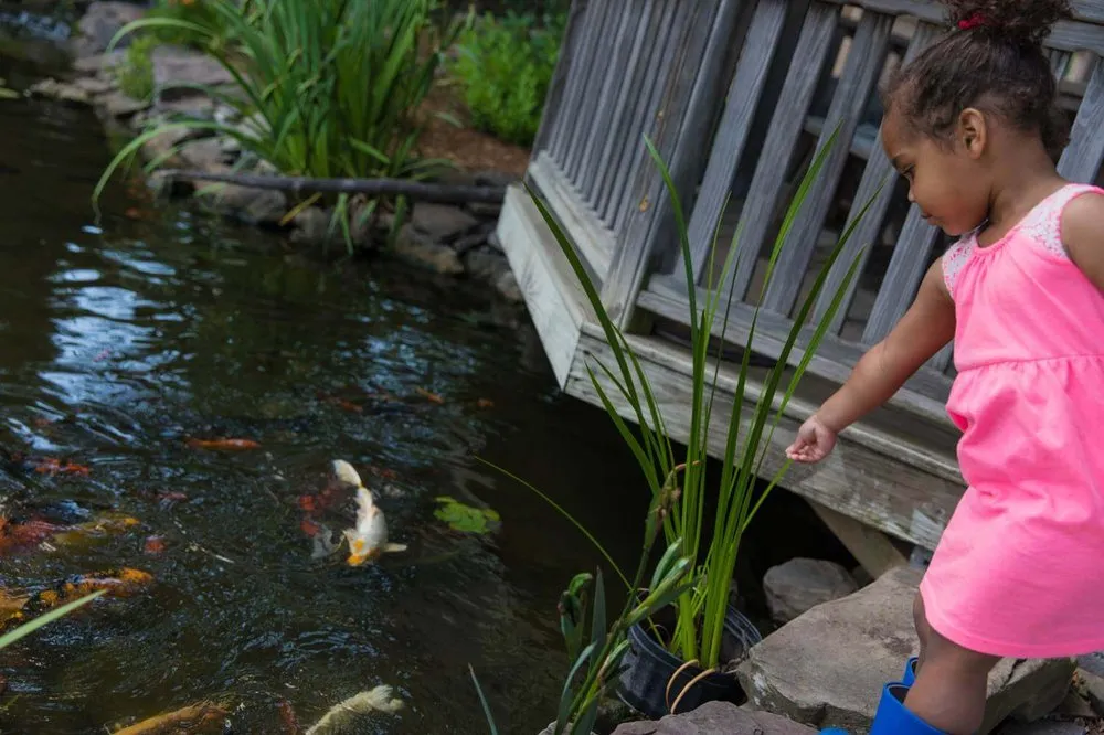 Reliable outdoor landscaping near you in Green Brook, NJ by Fitz's Fish Ponds