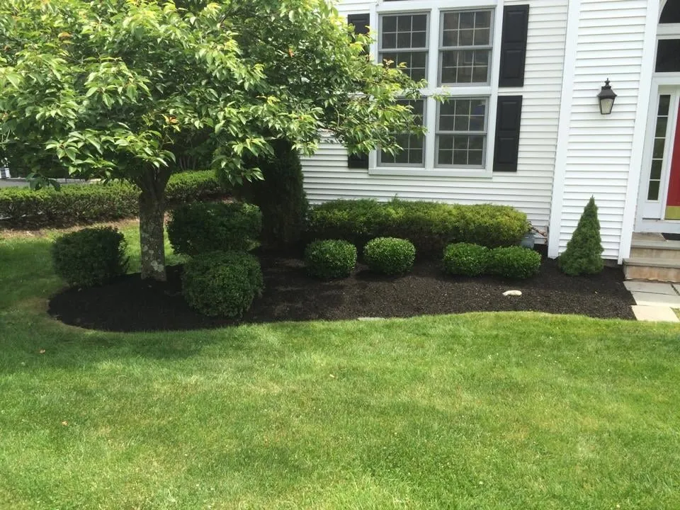 Trusted yard cleanup service in Yorktown Heights, NY - Fitz's Landscaping