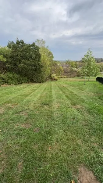 Affordable landscape design for year-round maintenance across Wardsville, MO - Fitzs Lawncare and Landscape