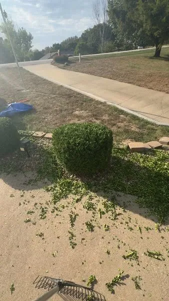 Affordable landscape design for year-round maintenance in Wardsville, MO by Fitzs Lawncare and Landscape