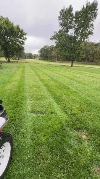 Expert lawn mowing service experts serving Wardsville, MO - Fitzs Lawncare and Landscape