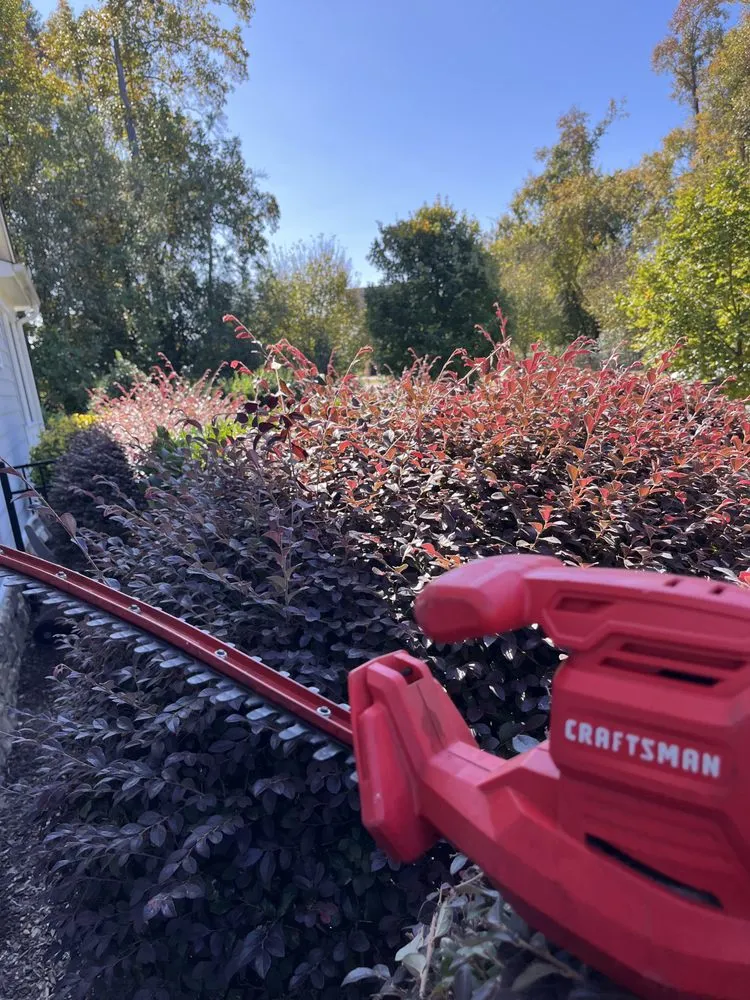 Trusted residential landscaping with custom design in Clayton, NC by Five Alarm Lawn Care